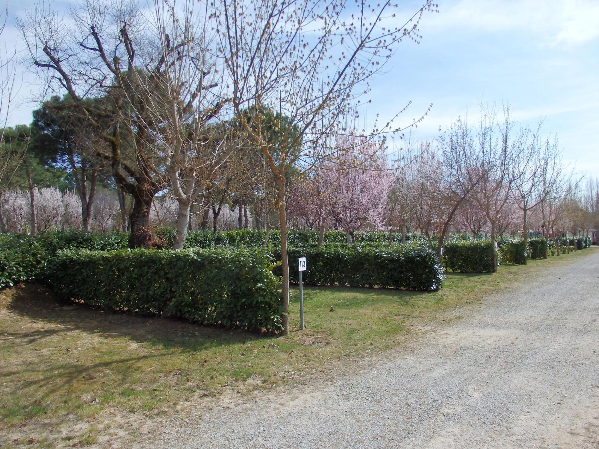 Camping Village La Chiocciola Capannole Exterior foto